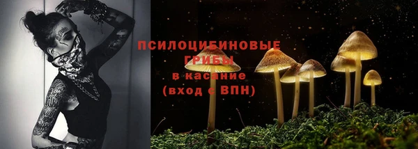 соль ск Арсеньев