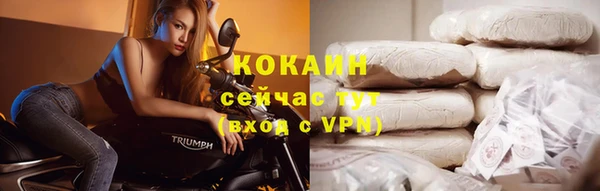 соль ск Арсеньев