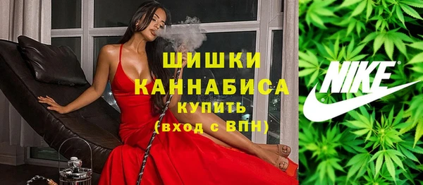 соль ск Арсеньев